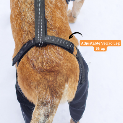 DoggoSupport Dual-Knee Stability System™
